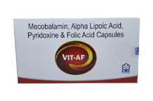  	franchise pharma products of Healthcare Formulations Gujarat  -	capsule vit-af.jpg	